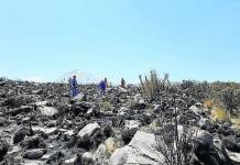 AREQUIPA: RECUPERACIÃ“N DE LA FLORA SILVESTRE EN POLOBAYA TRAS EL INCENDIO FORESTAL DEMORARÃA 5 AÃ‘OS