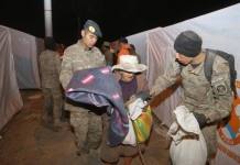 Gobierno Regional Moquegua iniciÃ³ evacuaciÃ³n de afectados por volcÃ¡n Ubinas hacia albergues en Anascapa