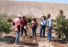 MOQUEGUA: GOBIERNO REGIONAL MEJORARÃ VÃAS EN BENEFICIO DE AGRICULTORES DE JAGUAY â€“ LA RINCONADA