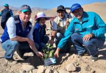MOQUEGUA: TRABAJADORES DE LA EPS REALIZAN CAMPAÃ‘A DE FORESTACIÃ“N EN LA PTAR OMO