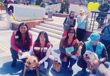 TACNA: MULTA DE 840 SOLES PARA LOS DUEÃ‘OS DE CANES QUE MUERDAN A PEATONES