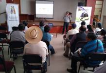 MOQUEGUA: MUNICIPALIDAD INTENSIFICA CAPACITACIONES A PRODUCTORES DE PALTO PARA MEJORAR SUS CULTIVOS