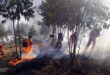 CUSCO: SIETE INCENDIOS FORESTALES AZOTAN A LA REGIÃ“N EN 24 HORAS