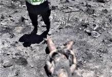 AREQUIPA: AGRICULTOR DE 78 AÃ‘OS MUERE EN INCENDIO