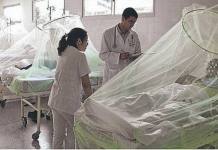 CUSCO: EVALÃšAN DOS NUEVOS CASOS DE DENGUE AUTÃ“CTONO