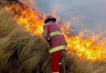 CUSCO: ANCIANA PIERDE LA VIDA TRAS INCENDIO FORESTAL