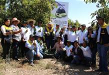 MOQUEGUA: MUNICIPALIDAD PREPARA PRIMER CONGRESO MACRO REGIONAL Y FERIA TECNOLÃ“GICA DE LA PALTA â€œFESTIPALTO 2019â€