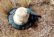 CUSCO: RAYO MATA A MUJER CUANDO RETORNABA A SU CASA