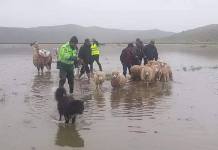 PUNO: RESCATAN A FAMILIAS ATRAPADAS POR DESBORDE DE RÃOS