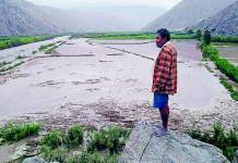 AREQUIPA: 800 HECTÃREAS DE ARROZ SE PERDIERON EN CAMANÃ