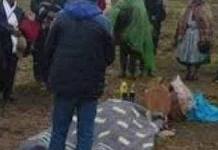 AREQUIPA: RAYO MATA A CAMPESINO EN SU ESTANCIA EN CASTILLA