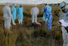PUNO: HALLAN MUERTO A VARÃ“N EN DESCAMPADO DE LA CIUDAD DE JULIACA