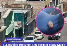 LADRÃ“N PIERDE UN DEDO DURANTE VIOLENTO ASALTO EN MOQUEGUA