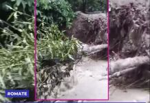 MOQUEGUA: LLUVIAS EN OMATE CAUSAN DAÃ‘OS EN CULTIVOS Y ACTIVAN RÃO SECO EN CHASQUIPATA