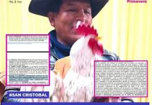 MOQUEGUA: ALCALDE DISTRITAL "GALLO" CLAUDIO VIZCARRA ESTÃ AL BORDE DEL DELITO