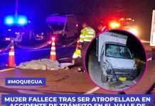 MOQUEGUA: MUJER FALLECE TRAS SER ATROPELLADA EN ACCIDENTE DE TRÃNSITO EN EL SECTOR DEL VALLE