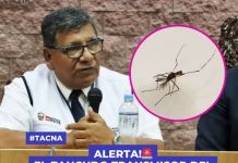TACNA: EL ZANCUDO TRANSMISOR DEL DENGUE YA SE ENCUENTRA EN LA CIUDAD