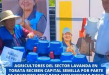 TORATA: AGRICULTORES DEL SECTOR LAVANDA, RECIBEN CAPITAL SEMILLA POR PARTE DE SOUTHERN PERÃš PARA IMPLEMENTAR RIEGO TECNIFICADO