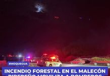 MOQUEGUA: INCENDIO FORESTAL EN EL MALECÃ“N RIBEREÃ‘O MOVILIZA A BOMBEROS POR VARIAS HORAS