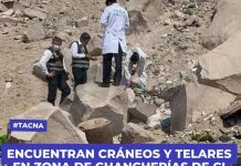 TACNA: ENCUENTRAN CRÃNEOS Y TELARES EN ZONA DE CHANCHERÃAS DE CIUDAD NUEVA