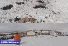SAN CRISTOBAL: NEVADA CUBRE LA COMUNIDAD DE PALLATEA Y PONE EN RIESGO A FAMILIAS Y GANADO
