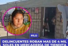 ILO: DELINCUENTES ROBAN MAS DE 4 MIL SOLES EN MERCADERÃA DE TIENDITA EN EL DISTRITO EL ALGARROBAL