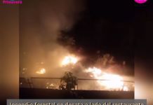 LOS ANGELES: INCENDIO FORESTAL SE DESATA JUNTO AL RESTAURANTE LA CAMPIÃ‘A
