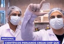 CIENTÃFICOS PERUANOS CREAN CHIP QUE DETECTA CÃ‰LULAS CANCERÃGENAS Y PREVENDRÃA LA METÃSTASIS