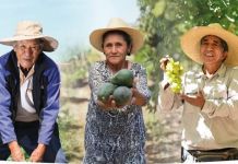 MOQUEGUA: â€œANGLO AMERICANâ€ DESTINÃ“ MÃS DE 100 MILLONES PARA EL AGRO MOQUEGUANO