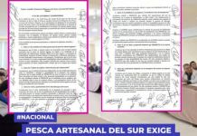 PESCA ARTESANAL DEL SUR EXIGE COMPROMISOS REALES FRENTE A LA PROBLEMÃTICA DEL RECURSO POTA