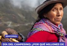 Â¿POR QUÃ‰ MILLONES DE AGRICULTORES AÃšN PERMANECEN EN LA INFORMALIDAD Y LA POBREZA?