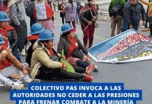 COLECTIVO PAS INVOCA A LAS AUTORIDADES NO CEDER A LAS PRESIONES PARA FRENAR COMBATE A LA MINERÃA ILEGAL