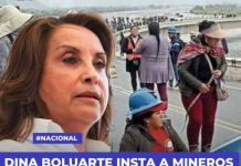 DINA BOLUARTE INSTA A MINEROS ILEGALES A FORMALIZARSE