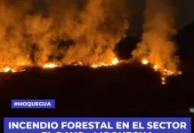 MOQUEGUA: INCENDIO FORESTAL EN EL SECTOR EL RAYO