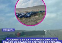 AREQUIPA: TRÃILER CARGADO DE ACEITUNA PROCESADA SE VUELCA EN SACACO