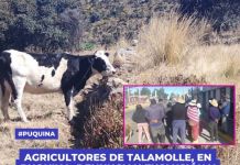PUQUINA: AGRICULTORES DE TALAMOLLE, EN PUQUINA, DENUNCIAN EXCLUSIÃ“N Y MALTRATO EN ATENCIÃ“N POR HELADAS.