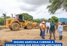 NACIONAL: SEGURO AGRÃCOLA CUBRIRÃ A PRODUCTORES QUE RESULTEN AFECTADOS POR VIENTOS FUERTES.