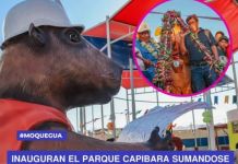 SAN ANTONIO: INAUGURAN EL PARQUE CAPIBARA SUMÃNDOSE AL CIRCUITO DE PARQUES TEMÃTICOS MÃS IMPORTANTES DE LA PROVINCIA.