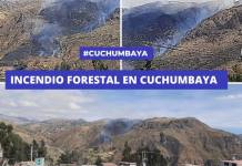 MOQUEGUA: INCENDIO FORESTAL EN CUCHUMBAYA
