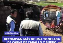 AREQUIPA: DECOMISAN MÁS DE UNA TONELADA DE CARNE DE CABALLO Y BURRO DESTINADA AL CONSUMO HUMANO AREQUIPA: DECOMISAN MÁS DE UNA TONELADA DE CARNE DE CABALLO Y BURRO DESTINADA AL CONSUMO HUMANO