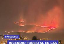 AREQUIPA | INCENDIO FORESTAL EN LAS FALDAS DEL MISTI AREQUIPA | INCENDIO FORESTAL EN LAS FALDAS DEL MISTI