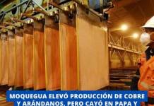 MOQUEGUA ELEVÓ PRODUCCIÓN DE COBRE Y ARÁNDANOS, PERO CAYÓ EN PAPA Y ENERGÍA ELÉCTRICA