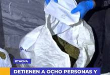 DETIENEN A OCHO PERSONAS Y DECOMISAN MÁS DE 15 KILOS DE MARIHUANA EN OPERATIVO EN TACNA