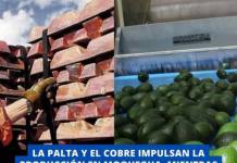 LA PALTA Y EL COBRE IMPULSAN LA PRODUCCIÓN EN MOQUEGUA, MIENTRAS CAEN LA AVÍCOLA Y LA ELECTRICIDAD