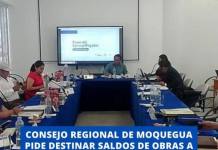 CONSEJO REGIONAL DE MOQUEGUA PIDE DESTINAR SALDOS DE OBRAS A PERSONAS CON DISCAPACIDAD