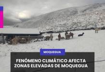 FENÓMENO CLIMÁTICO AFECTA ZONAS ELEVADAS DE MOQUEGUA