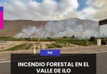 INCENDIO FORESTAL EN EL VALLE DE ILO