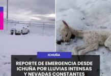 REPORTE DE EMERGENCIA DESDE ICHUÑA POR LLUVIAS INTENSAS Y NEVADAS CONSTANTES