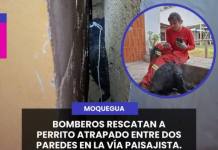 BOMBEROS RESCATAN A PERRITO ATRAPADO ENTRE DOS PAREDES EN LA VÍA PAISAJISTA.
