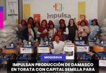 IMPULSAN PRODUCCIÓN DE DAMASCO EN TORATA CON CAPITAL SEMILLA PARA AGRICULTORES